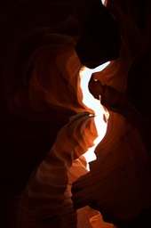 _DSC9594