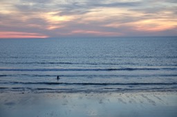 DSC02004