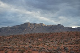 _DSC9140