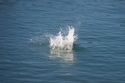 _DSC0380