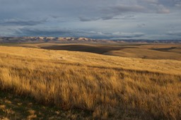 _DSC8531