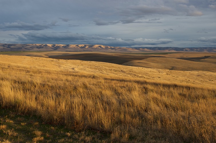 _DSC8531