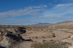 _DSC9175