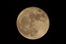 _DSC9728