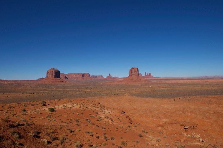 _DSC9774