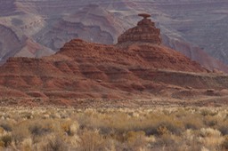 _DSC9850