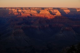 _DSF7794