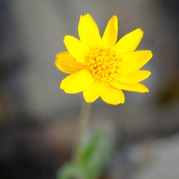 _DSF8390